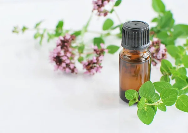 Brown Bottle Thyme Essential Oil Bunch Fresh Thyme Herbs White — 스톡 사진