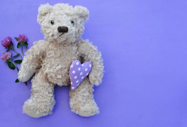 Cute soft toy teddy bear sitting on pink background and holding purple heart and clover flower, place for text.