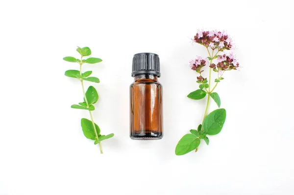 Brown Bottle Thyme Essential Oil Bunch Fresh Thyme Herbs White — 스톡 사진