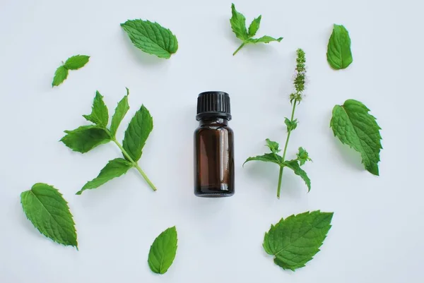 Essential Oil Peppermint Small Brown Bottle Fresh Peppermint Leaves White — Stockfoto