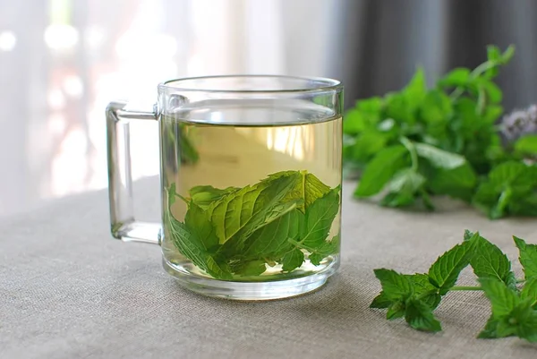 Fresh peppermint tea in glass cup and peppermint leaves.