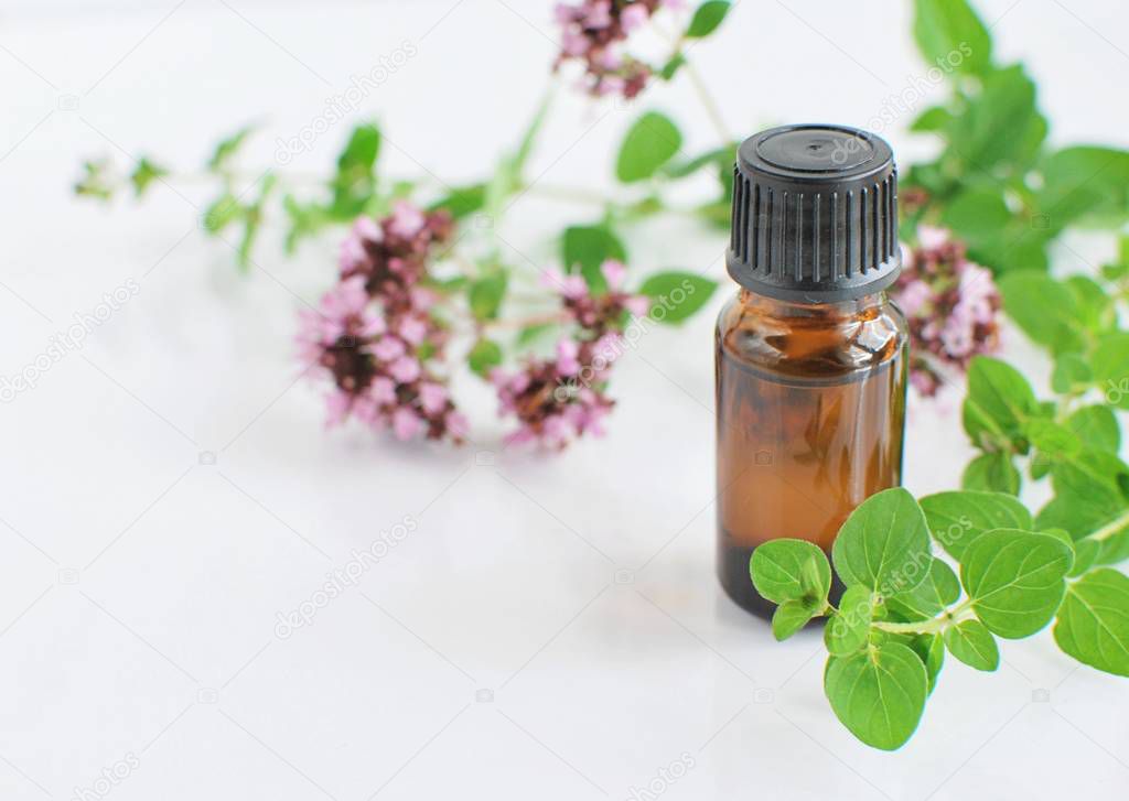 Brown bottle with thyme essential oil, bunch of fresh thyme herbs on white background, top view, flat lay.