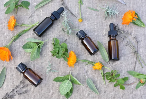 Healing herbs and flowers, brown bottles with essential oils, hydrosols, extracts, phytotherapy, herbal medicine, alternative treatment, natural apothecary concept, flat lay.