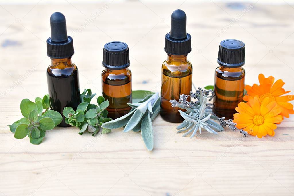 Essential oil, hydrosol, extract in brown bottles with fresh herbs and flowers, herbal medicine, phytotherapy, natural remedies, home apothecary  concept.