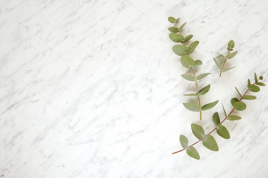Minimalist frame with eucalyptus branches on marble background, beauty, wedding, cosmetics flat lay with space for text.