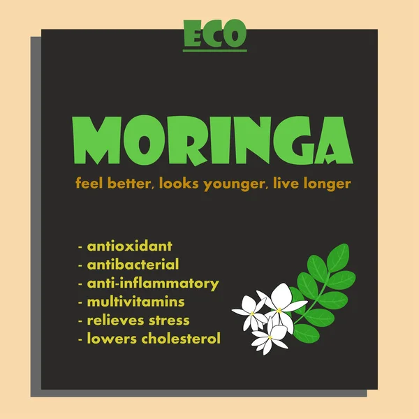 Süper yiyecek moringa — Stok Vektör