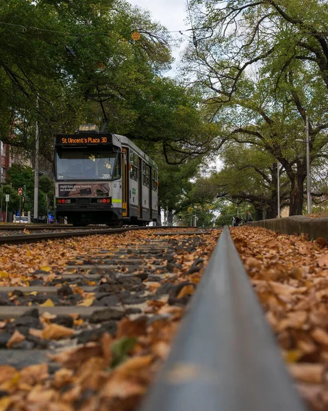 MELBOURNE, AUSTRALIEN - 28. April 2019: Die Straßenbahn von Melbourne fährt an einem Autoparktag an den Gleisen vorbei.. — Stockfoto