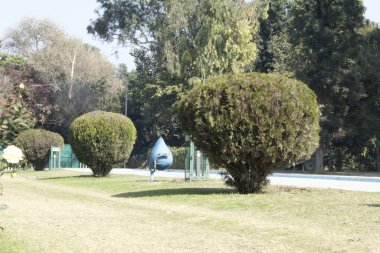 Bahçe çok güzel görünüyor.