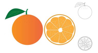 turuncu vektör grafik tasarımı ve turuncu çizgi simgeleri ve turuncu yarım dilim