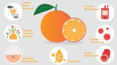 turuncu bilgi grafiksel düz çizim sağlıklı alışkanlıklar yiyen vektör sağlığına yarar  