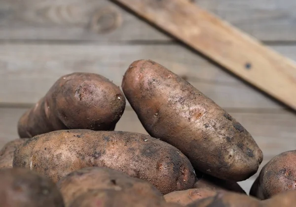 Kartoffeln auf einem hölzernen antiken Hintergrund. Eigener Hof. — Stockfoto