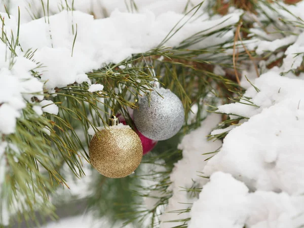 Brinquedo de árvore de Natal em um ramo natural com agulhas de pinheiros no fundo da neve na floresta. Conceito de Natal, Ano Novo e inverno Natal feriados, fundo, textura — Fotografia de Stock