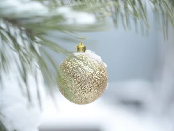 Ялинкова іграшка на природній гілці з сосновими голкими деревами на сніговому тлі в лісі. Концепція Різдва, Нового року та зими Різдвяні свята, фон, текстура — стокове фото