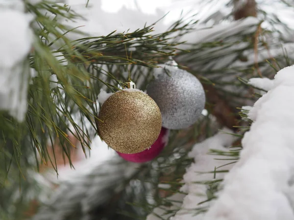 Ялинкова іграшка на природній гілці з сосновими голкими деревами на сніговому тлі в лісі. Концепція Різдва, Нового року та зими Різдвяні свята, фон, текстура — стокове фото