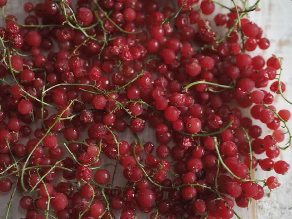 白いプレートまたはテーブルの上に冷凍赤スグリのボウル。冬のために果実を収穫する。自宅で冷凍庫で作物の保存. — ストック写真