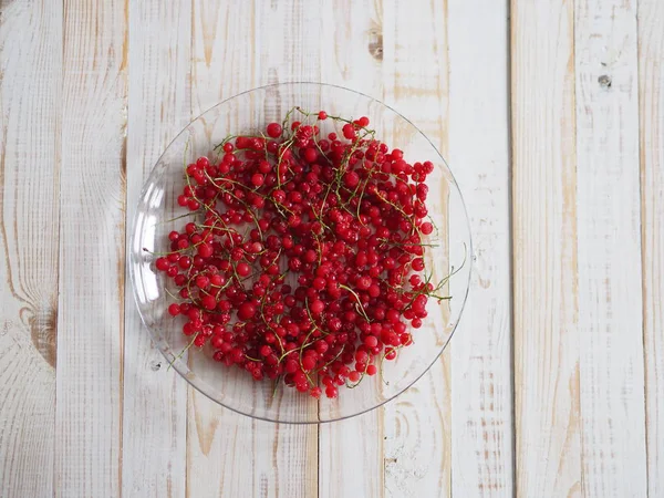 Un tazón de grosellas rojas congeladas en un plato o mesa blanca. Cosechando bayas para el invierno. Conservación de la cosecha en el congelador en casa . — Foto de Stock