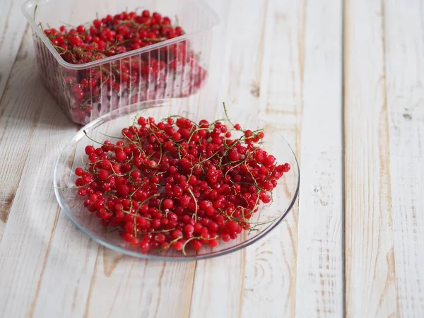 Een kom bevroren rode aalbessen op een witte plaat of tafel. Bessen oogsten voor de winter. Behoud van het gewas in de vriezer thuis. — Stockfoto