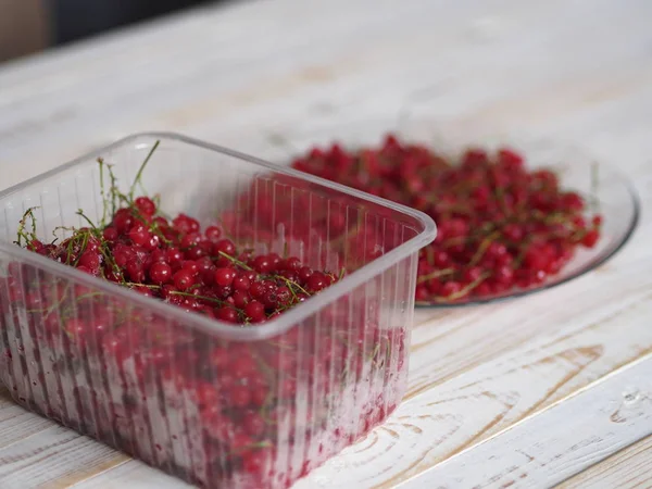 Una ciotola di ribes rosso congelato su un piatto o tavolo bianco. Raccolta di bacche per l'inverno. Conservazione del raccolto nel congelatore a casa . — Foto Stock