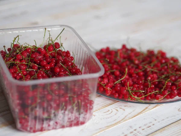 Una ciotola di ribes rosso congelato su un piatto o tavolo bianco. Raccolta di bacche per l'inverno. Conservazione del raccolto nel congelatore a casa . — Foto Stock