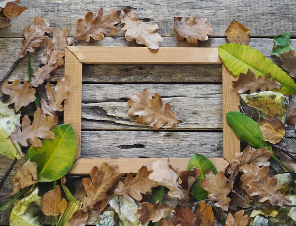 Autumn composition on an ancient wooden background with autumn leaves and a frame for an inscription or photo. Art photo. — Stock Photo, Image