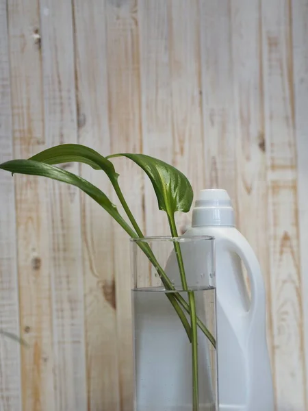 O conceito de remédio natural detergente natural. Folhas verdes em água em um contexto de uma garrafa com detergente. Fundo antigo de madeira . — Fotografia de Stock