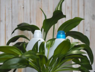 Bir bitkinin yeşil yaprakları plastik deterjan şişelerinin arka planında. Biyoorganik deterjan ürünü konsepti.