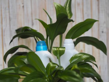 Bir bitkinin yeşil yaprakları plastik deterjan şişelerinin arka planında. Biyoorganik deterjan ürünü konsepti.