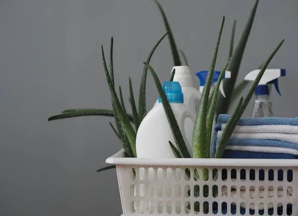 Koncepcja ekologicznych naturalnych detergentów. Detergenty i środki czyszczące z rośliną aloesu na szarym tle w plastikowym koszu na pranie. Wioska. — Zdjęcie stockowe