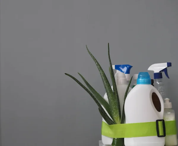 Il concetto di detergenti naturali eco-compatibili. Detergenti e detergenti in combinazione con la pianta medicinale aloe vera su sfondo grigio. Cintura verde. Villaggio . — Foto Stock