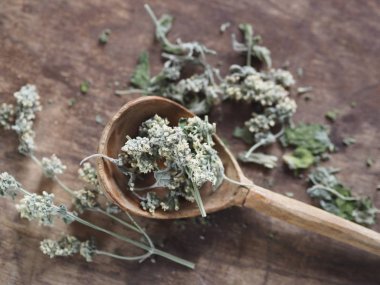 Kuru şifalı bitkisel limon merhemi, nane. Ahşap antik arka plan. Sağlık için bitki çayı..