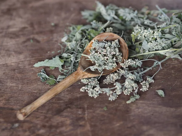 Hierba medicinal seca bálsamo de limón, menta. Fondo antiguo de madera. Té de hierbas para la salud . — Foto de Stock