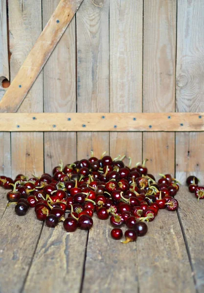 Rode ronde hete kersenpeper gedroogd op een houten achtergrond. We groeien en drogen onszelf. Biologische producten. — Stockfoto