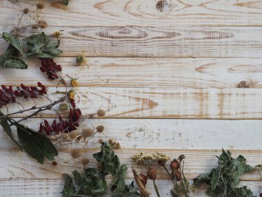 Kurutulmuş şifalı bitkiler kullanma kavramı. Farklı şifalı bitkilerle ahşap beyaz arka plan. Bitkiler ve çiçeklerle beden eğitimi..