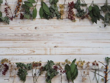 Kurutulmuş şifalı bitkiler kullanma kavramı. Farklı şifalı bitkilerle ahşap beyaz arka plan. Bitkiler ve çiçeklerle beden eğitimi..