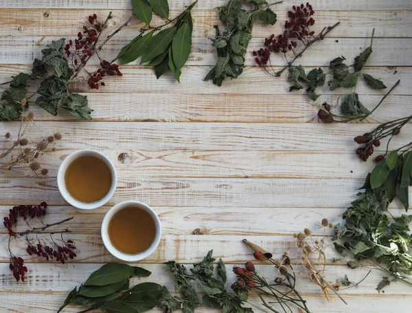 O conceito de usar ervas medicinais secas. Fundo branco de madeira com diferentes ervas medicinais. Fitoterapia com ervas e flores . — Fotografia de Stock