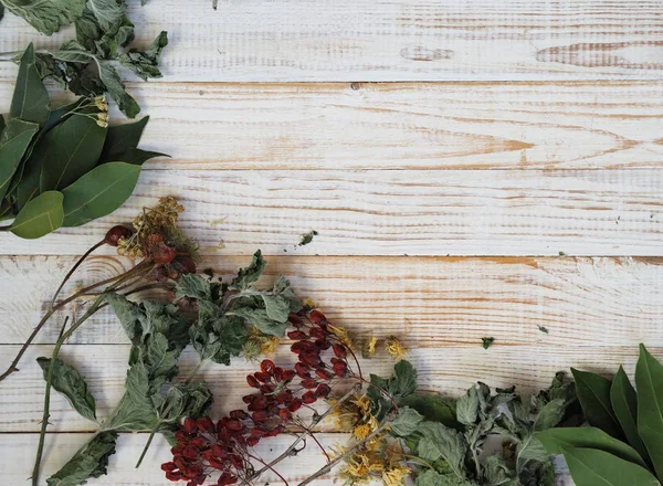 The concept of using medicinal dried herbs. Wooden white background with different medicinal herbs. Phytotherapy with herbs and flowers. — Stock Photo, Image