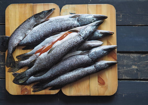 On a wooden black background on a cutting board of a carcass of carcass of fresh river fish pike. Place for an inscription. The use of fish for health.