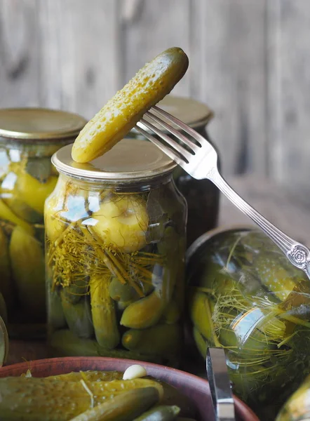 The benefits and harms of canned pickled cucumbers. Homemade pickled cucumbers on a fork and in jars on a wooden ancient background. Side view. Place for text.