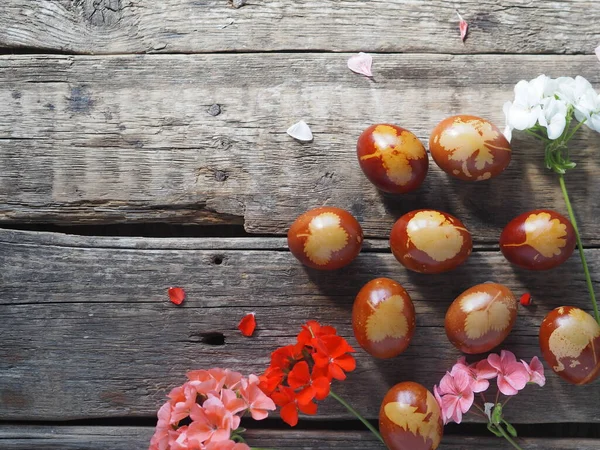 Easter Background Eggs Painted Onion Peel Pelargonium Flowers Wooden Old — Stock Photo, Image