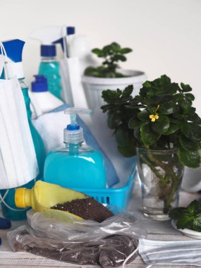 Coronavirus, karantina, izolasyon. Evde kal, dezenfekte et ve evde yetişen tıbbi bitkileri tedavi et. Doğaya daha yakın ol..