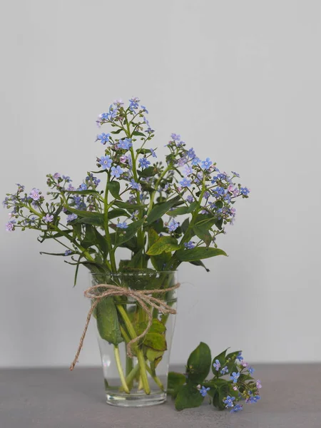 Floral background. Spring tender blue forget-me-not flowers in a glass on a gray wooden table.