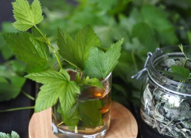 Kurutmak ve çay olarak kullanmak için taze frenk üzümü yaprakları hazırlıyoruz. Taze frenk üzümü yaprakları, bir kavanoz kuru yaprak ve koyu ahşap bir masada çay..