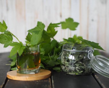 Genç siyah frenk üzümü yapraklarının kullanışlı özellikleri. Hasat mevsimi. Taze frenk üzümü yaprakları, bir kavanoz kuru yaprak ve koyu ahşap bir masada bir bardak çay..