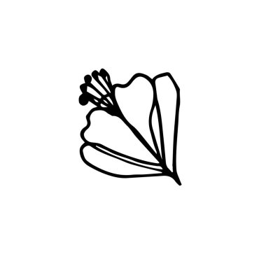 Güzel bir el çizilmiş kiraz çiçeği. Çiçekli sakura. Geleneksel Japon bahar çiçekleri karalama stili vektörüyle.