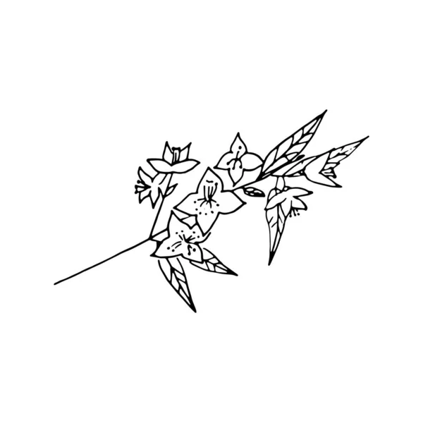 Um Jasminストックベクター ロイヤリティフリーum Jasminイラスト ページ 7 Depositphotos Um Jasminストックベクター ロイヤリティフリーum Jasminイラスト ページ 7 Depositphotos