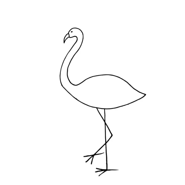 Single Hand Drawn Flamingo Doodle Style Vector — Stock Vector