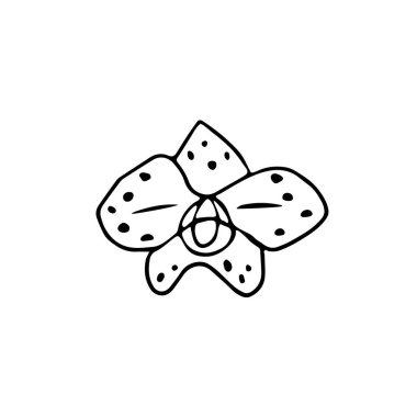 Tebrik kartları, posterler, çıkartmalar ve mevsimlik tasarım için tek elle tropik çiçek çizdim. Beyaz arka planda izole edilmiş. Doodle vektör illüstrasyonu.