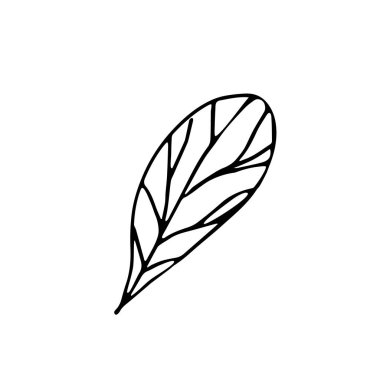 Tebrik kartları, posterler, çıkartmalar ve mevsimlik tasarım için tek elle tropik yaprak çizdim. Beyaz arka planda izole edilmiş. Doodle vektör illüstrasyonu.