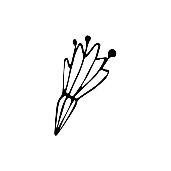 单手绘制热带花卉 用于贺卡 贴纸和季节性设计 被白色背景隔离 Doodle矢量说明 — 图库矢量图片