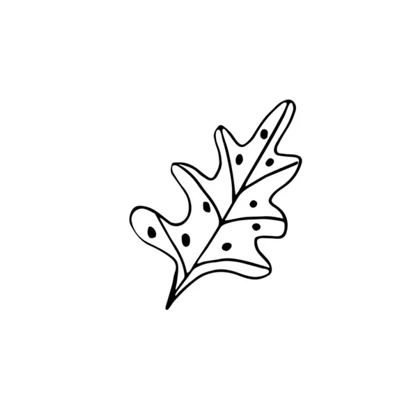 单手绘制热带叶子 用于贺卡 贴纸和季节性设计 被白色背景隔离 Doodle矢量说明 — 图库矢量图片